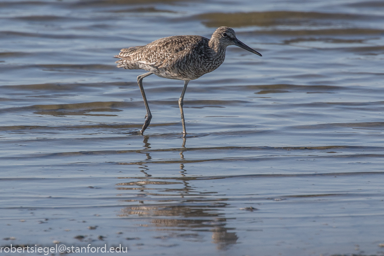 shoreline park